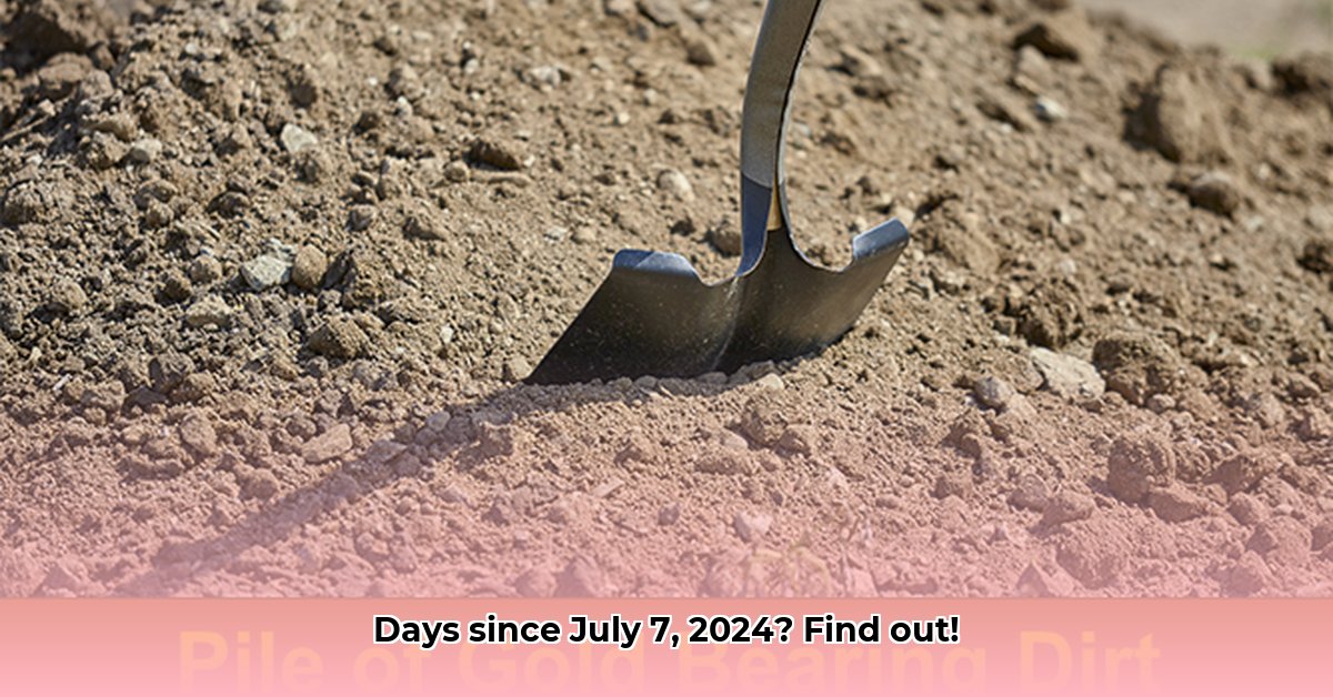 how-many-days-since-july-7-2024